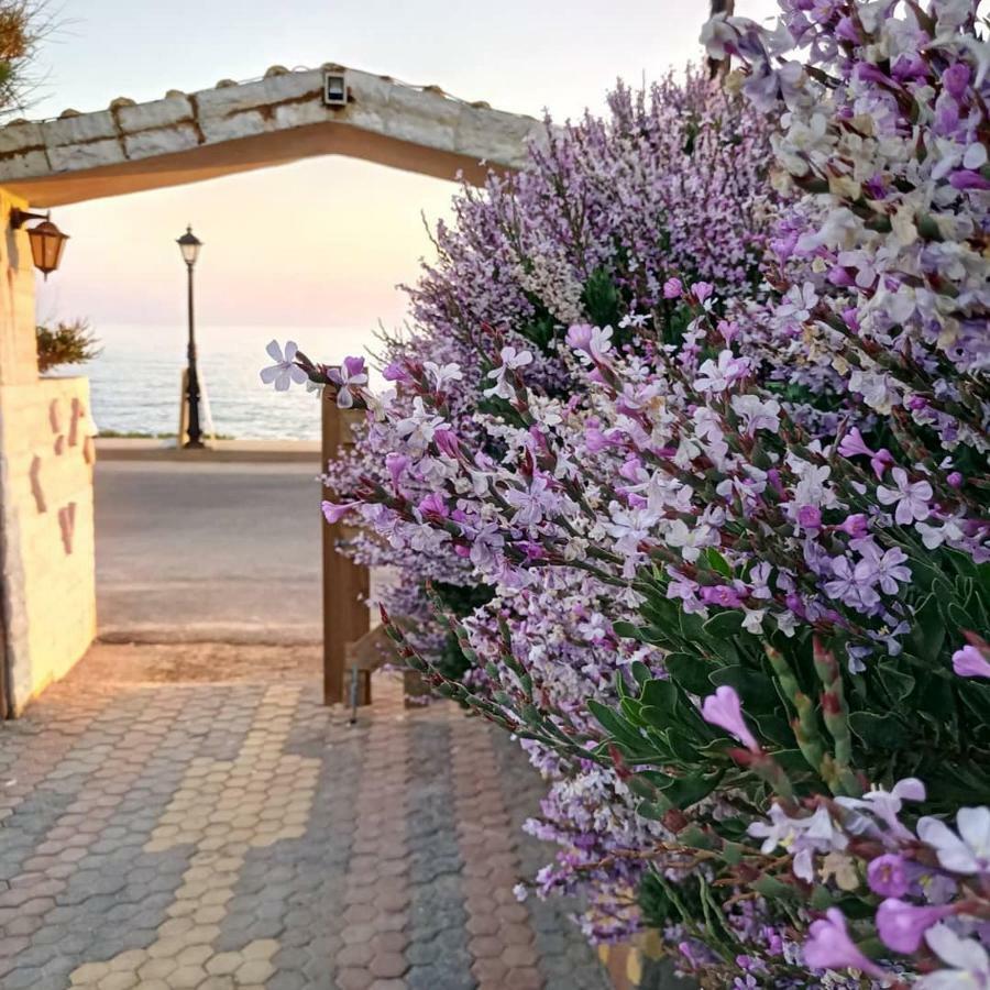 Georgia Seaside Tatil Evi *